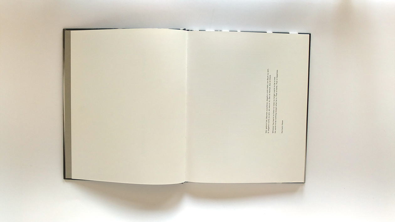 Fotobuch treemotion von Annabell Stübe Innenseiten
